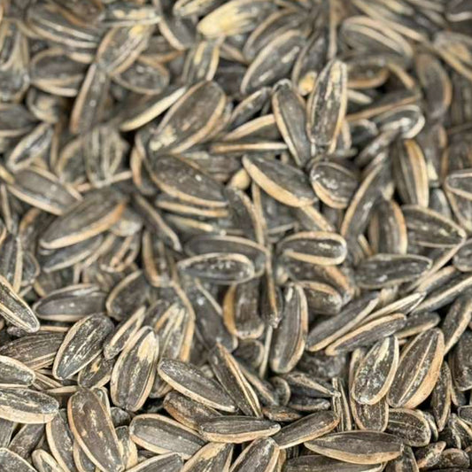 Sunflower Seeds Roasted Salt