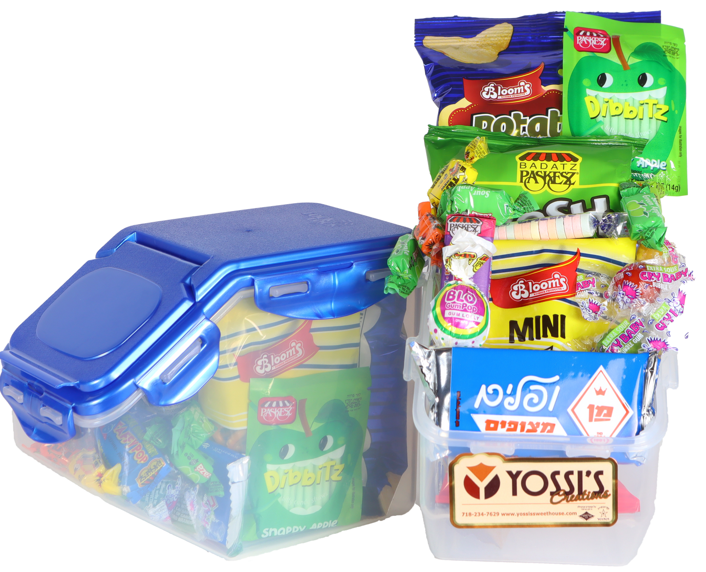 Storage Container Package