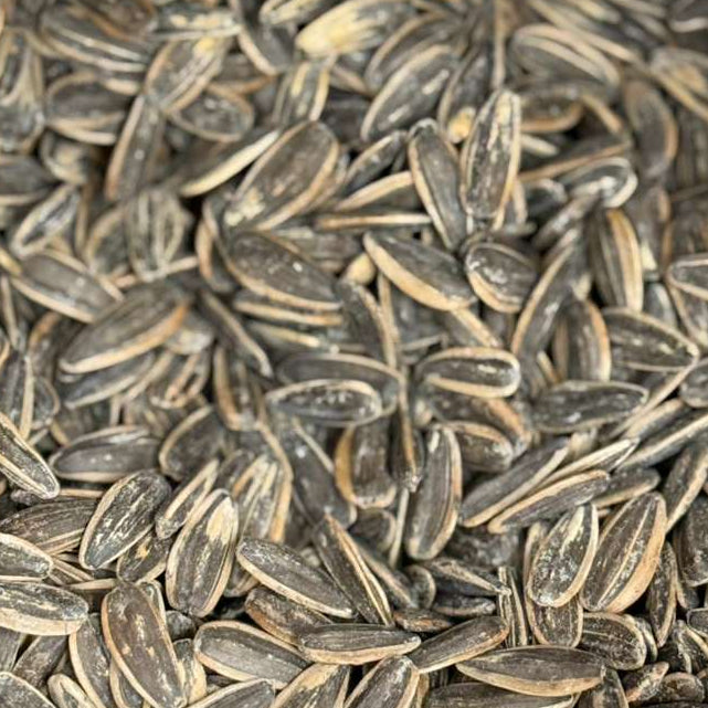 Sunflower Seeds Roasted Salt