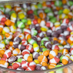 Freezed Dried Whimisies