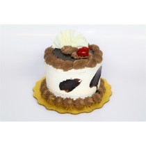 Chocolate Vanilla 